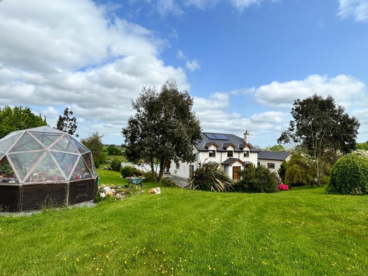 Tobernaglough Wexford Pet Friendly Country B&B Ramsgrange Exterior foto