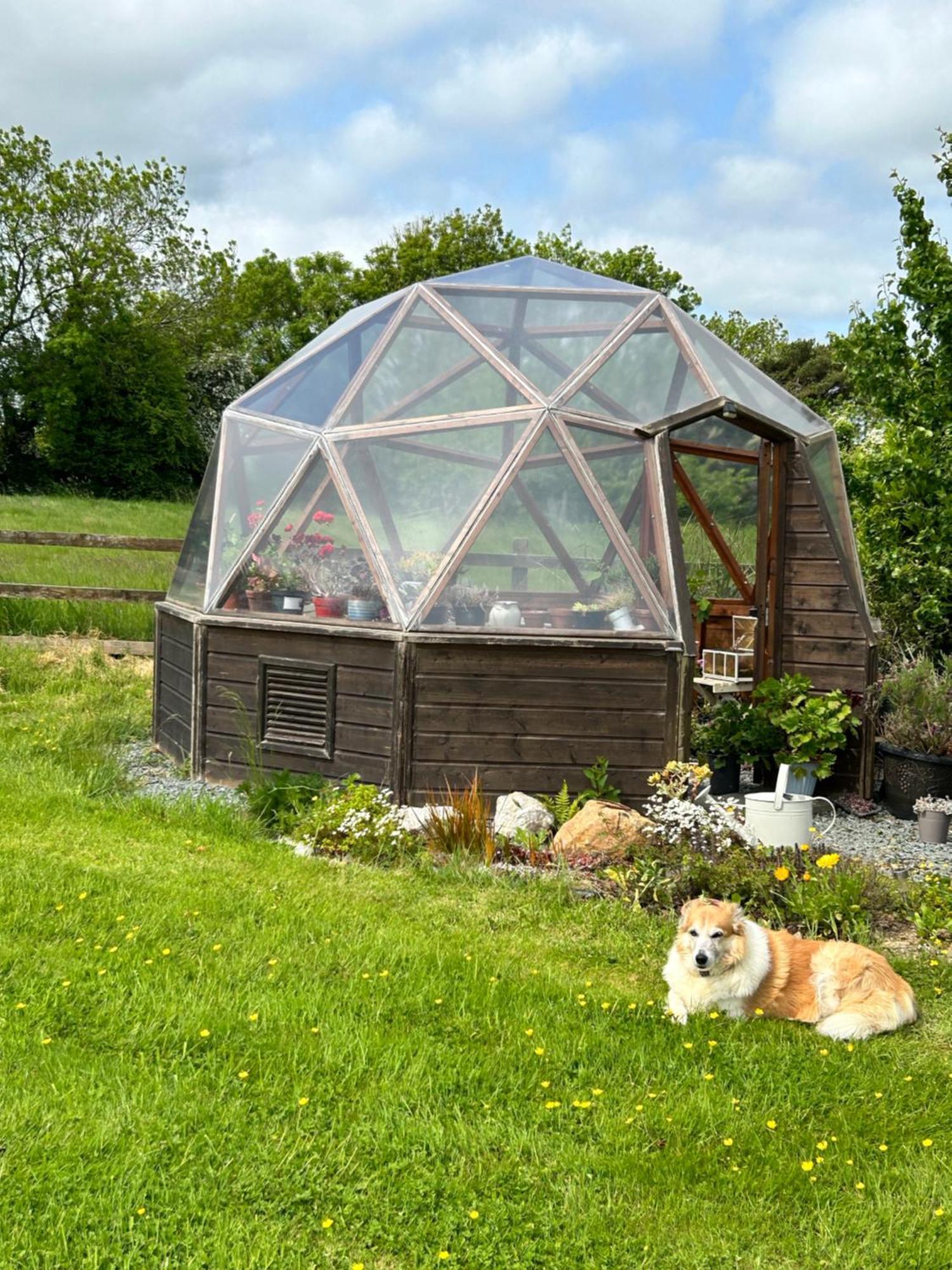Tobernaglough Wexford Pet Friendly Country B&B Ramsgrange Exterior foto