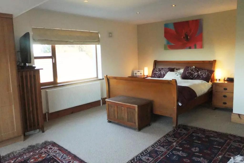 Tobernaglough Wexford Pet Friendly Country B&B Ramsgrange Exterior foto