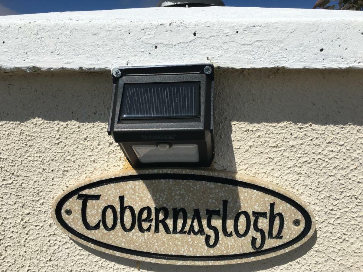 Tobernaglough Wexford Pet Friendly Country B&B Ramsgrange Exterior foto