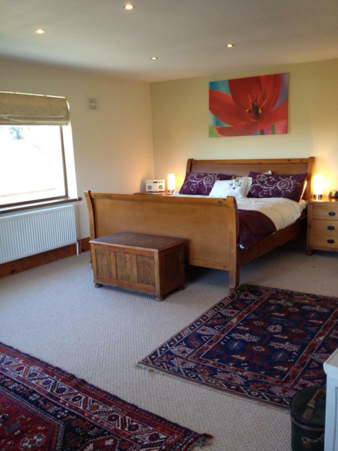 Tobernaglough Wexford Pet Friendly Country B&B Ramsgrange Exterior foto