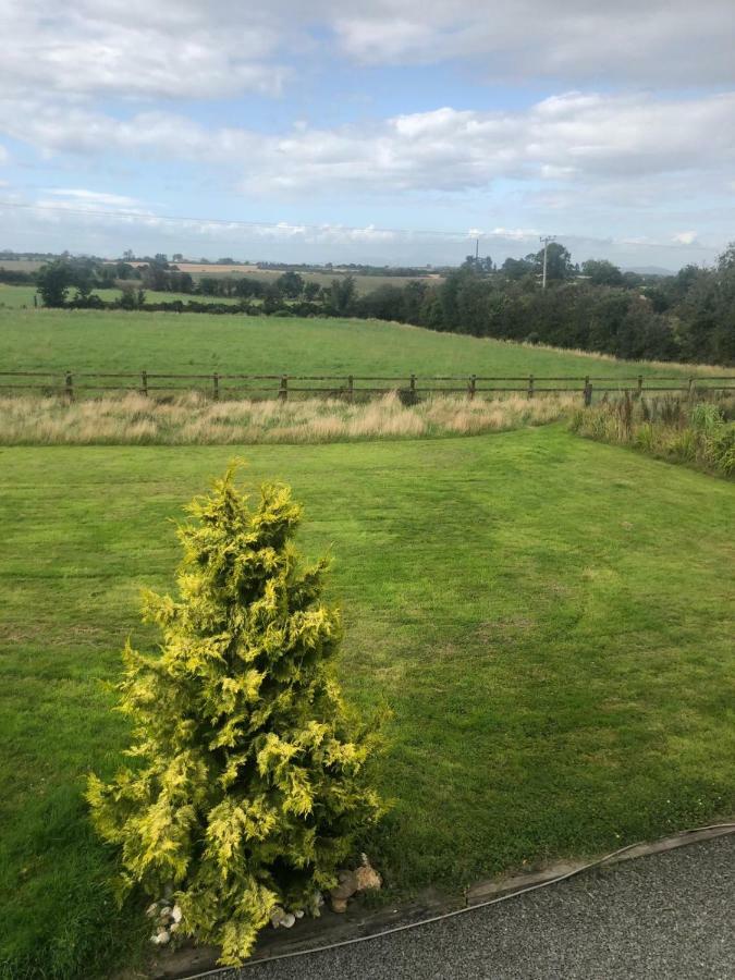 Tobernaglough Wexford Pet Friendly Country B&B Ramsgrange Exterior foto
